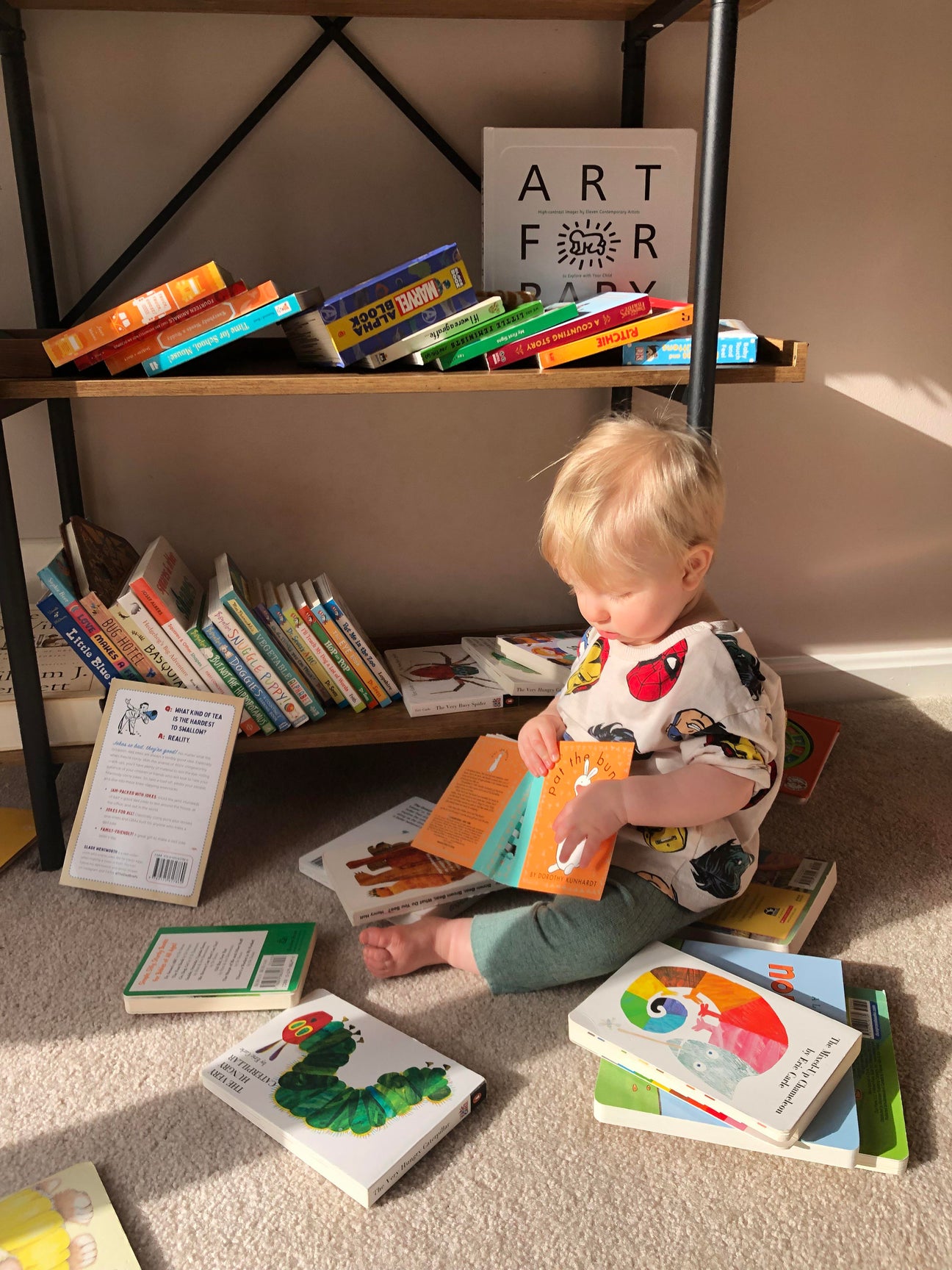 book storage ideas