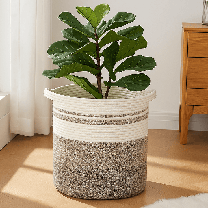 Oiahomy Planter Basket - Oiahomy 