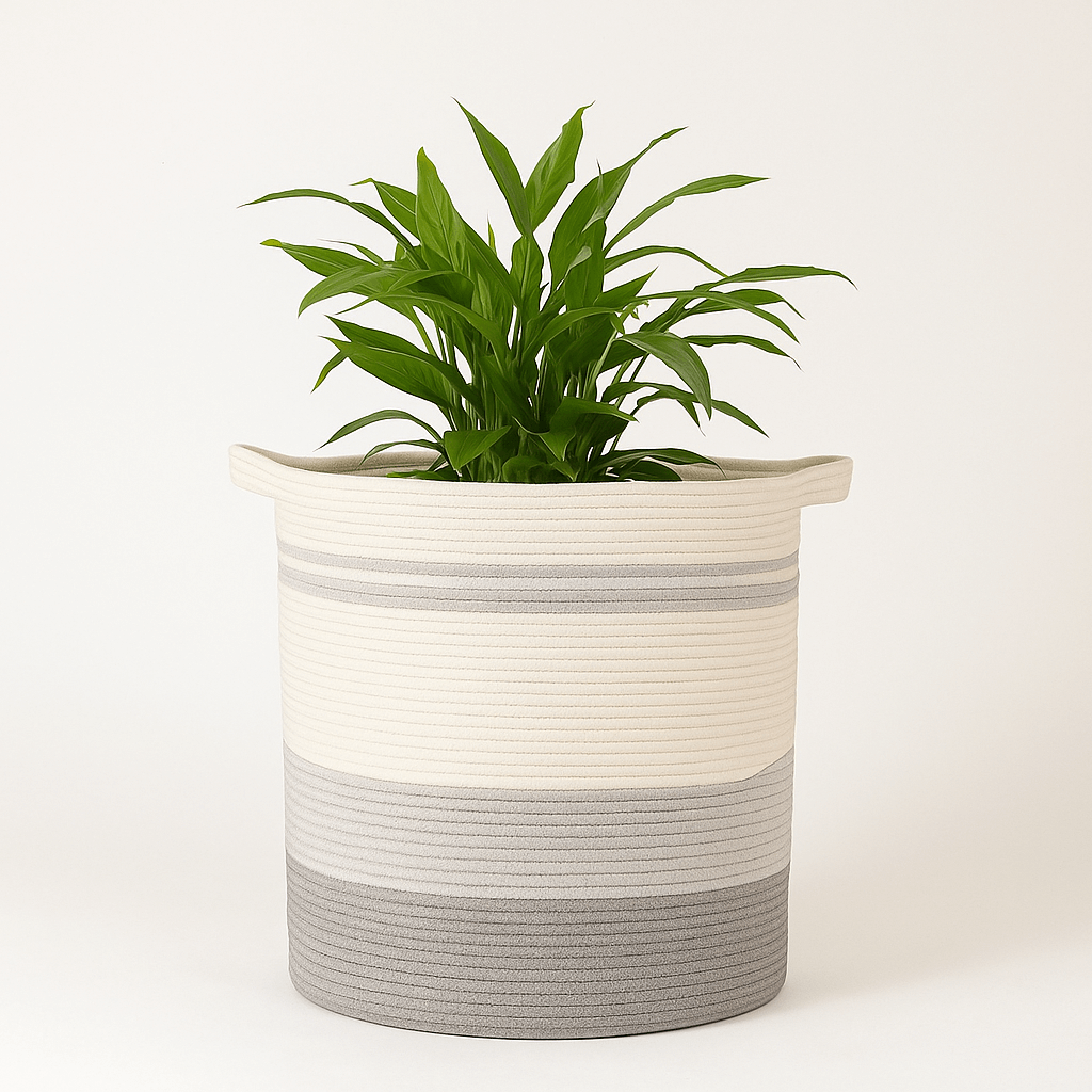 Oiahomy Planter Basket - Oiahomy 