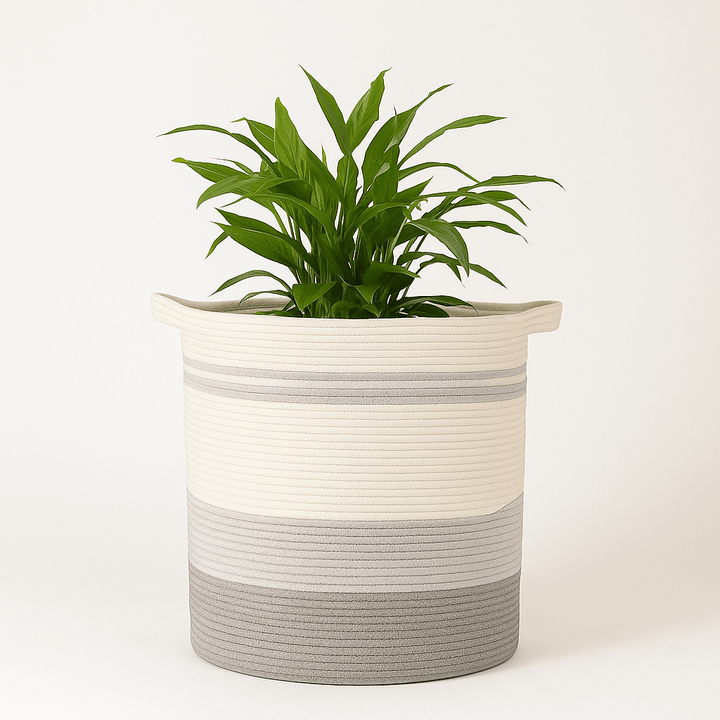 Oiahomy Planter Basket - Oiahomy 