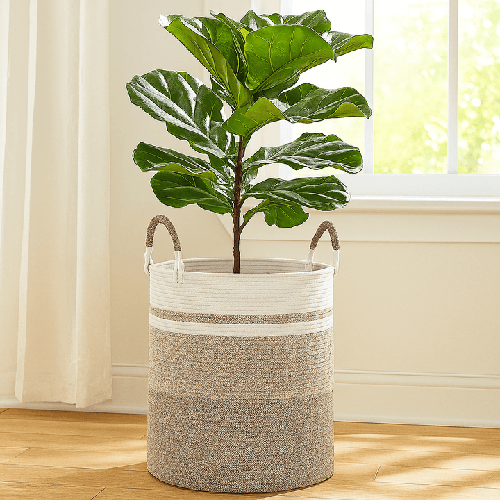 Oiahomy Cotton Planter Basket - Oiahomy 