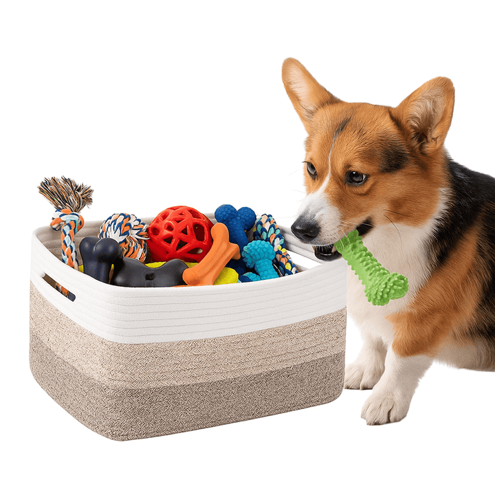 Oiahomy Storage Basket 2 Packs - Oiahomy 